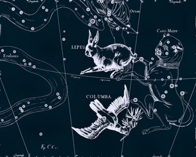 Репродукция картины Гевелий Ян на холсте - Uranographia - Lepus, Columba  				 - Уранография - Заяц, Голубь