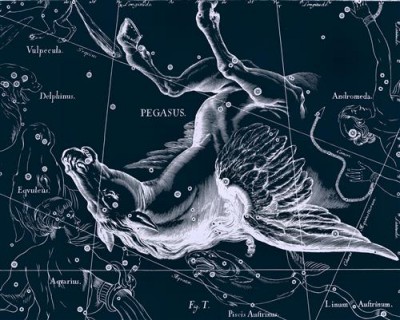 Репродукция картины Гевелий Ян на холсте - Uranographia - Pegasus  				 - Уранография - Пегас