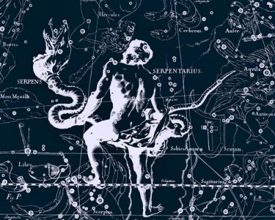Репродукция картины Гевелий Ян на холсте - Uranographia - Serpentarius, Serpens  				 - Уранография - Змееносец, Змея