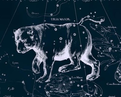 Репродукция картины Гевелий Ян на холсте - Uranographia - Ursa Major  				 - Уранография - Большая Медведица
