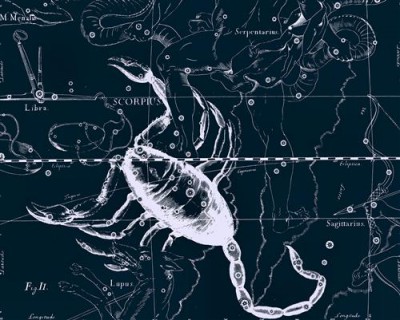 Репродукция картины Гевелий Ян на холсте - Uranographia - Scorpius  				 - Уранография - Скорпион
