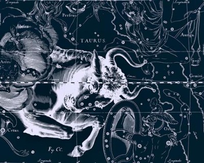 Репродукция картины Гевелий Ян на холсте - Uranographia - Taurus  				 - Уранография - Телец