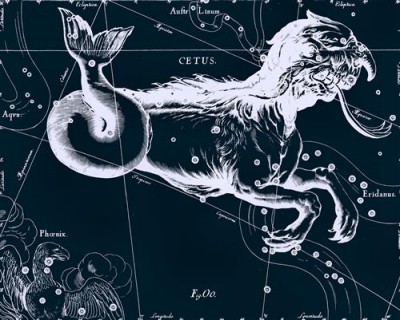 Репродукция картины Гевелий Ян на холсте - Uranographia - Cetus  				 - Уранография - Кит
