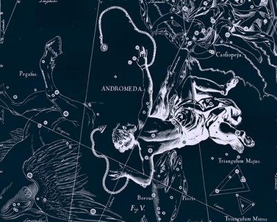 Репродукция картины Гевелий Ян на холсте - Uranographia - Andromeda  				 - Уранография - Андромеда