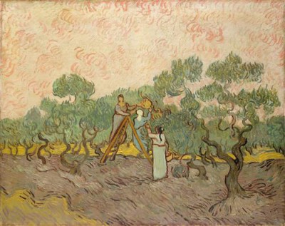 Репродукция картины Винсент Ван Гог на холсте - Женщины собирают маслины