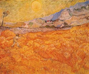 1428785986_wheat-fields-with-reaper-at-sunrise.jpg