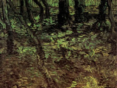 Репродукция картины Винсент Ван Гог на холсте - Undergrowth with Ivy