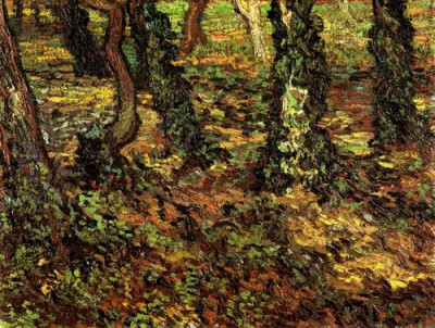 Репродукция картины Винсент Ван Гог на холсте - Tree Trunks with Ivy 2