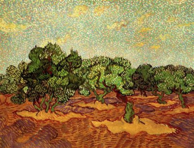 Репродукция картины Винсент Ван Гог на холсте - Olive Grove Pale Blue Sky