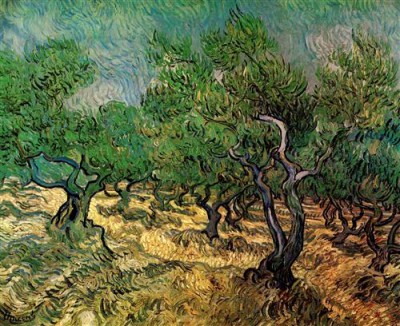 Репродукция картины Винсент Ван Гог на холсте - Olive Grove 2