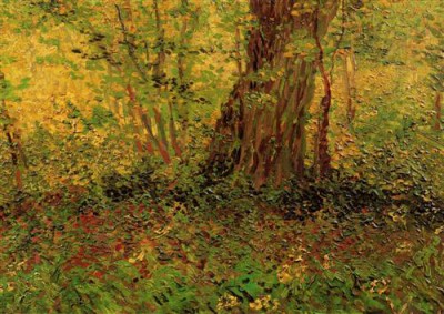 Репродукция картины Винсент Ван Гог на холсте - Undergrowth 2