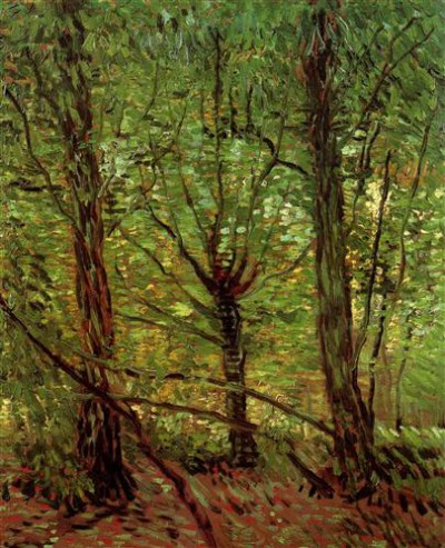 Репродукция картины Винсент Ван Гог на холсте - Trees and Undergrowth