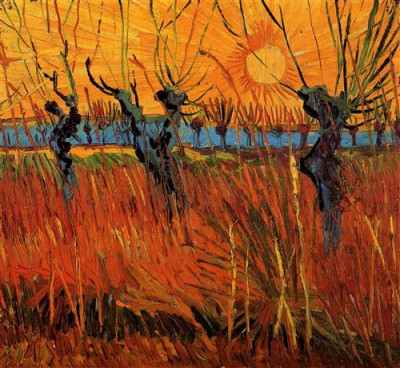 Репродукция картины Винсент Ван Гог на холсте - Willows at Sunset