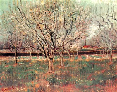 Репродукция картины Винсент Ван Гог на холсте - Orchard in Blossom Plum Trees