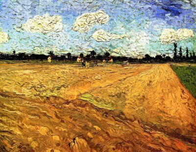 Репродукция картины Винсент Ван Гог на холсте - Ploughed Field