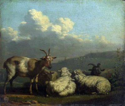 Репродукция картины Дюжарден Карел на холсте - Овцы  и  козы