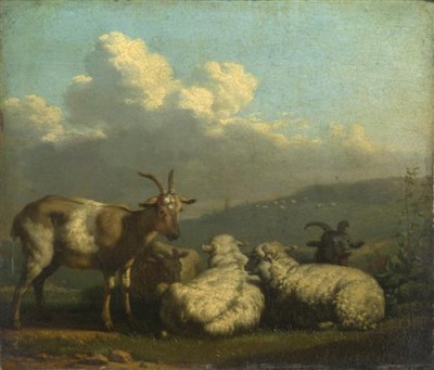 Репродукция картины Дюжарден Карел на холсте - Sheep and Goats
