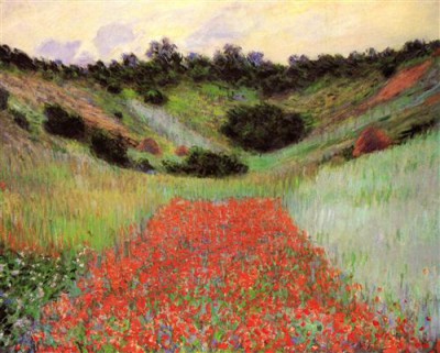 1428797308_poppy-field-of-flowers-in-a-valley-at-gi.jpg