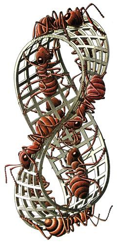 Репродукция картины Эшер Мауриц Корнелис на холсте - Mobius strip  				 - Лист Мёбиуса