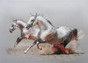 1429113219_horses-belye-loshadi.jpg