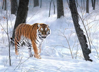 1429113250_tiger-tigr.jpg