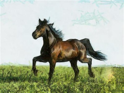 Постер Животные на холсте - Конь