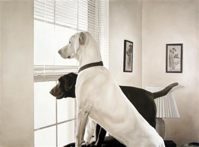 Постер Животные на холсте - собаки