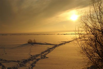 1429114912_winter-lake-vologda-zimnee-oze.jpg
