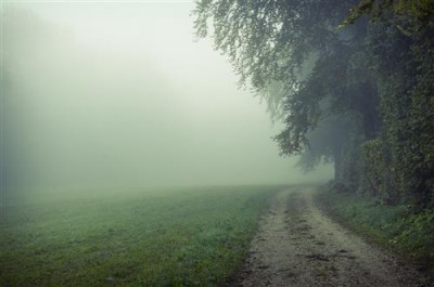 Постер Природа на холсте - туман