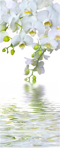 Постер Цветы на холсте - цвет орхидеи