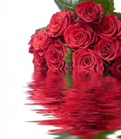 Постер Цветы на холсте - Розы